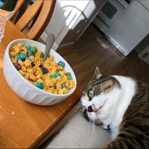 Meet your Posher, Ryan